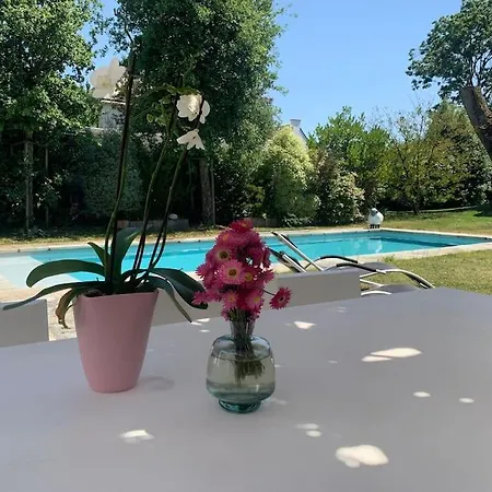 Un Petit Paradis Insoupsonne * Vannes