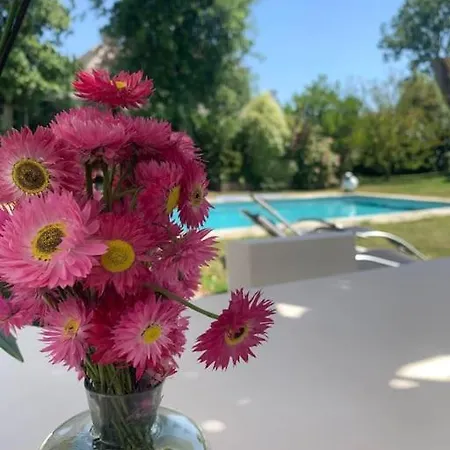 Un Petit Paradis Insoupsonne
