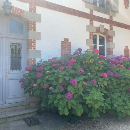 Un Petit Paradis Insoupsonne Ferienhaus Vannes